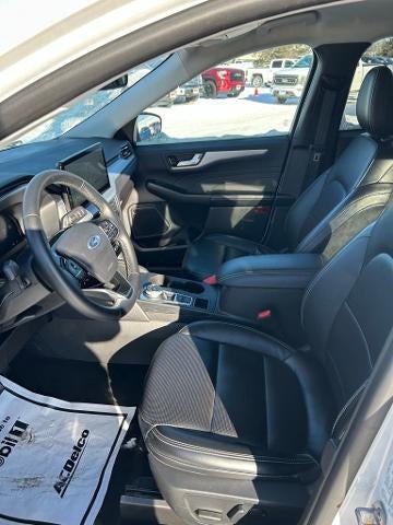 2024 Ford Escape Platinum AWD