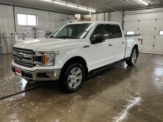 2019 Ford F-150 XL 4WD SuperCrew 5.5' Box