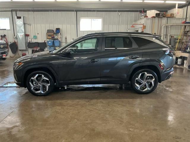 Used 2023 Hyundai Tucson SEL with VIN 5NMJFCAE4PH233291 for sale in Grand Rapids, Minnesota